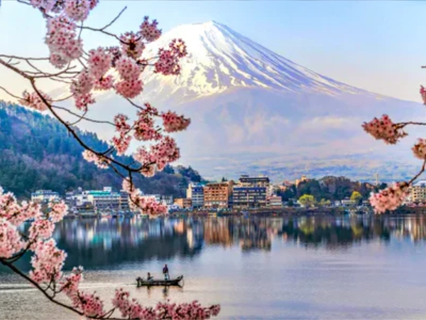 Kirschblüten vor dem schneebedeckten Mount Fuji und einem See in Japan – Buchhandlung am Markt in Hennef